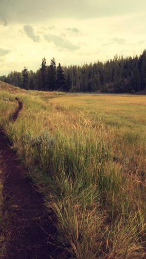 seo原创助手截图3