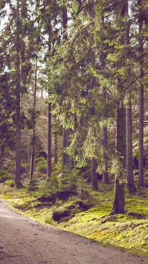 seo标题优化工具截图5