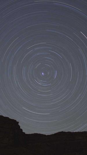 泊君seo工具截图3