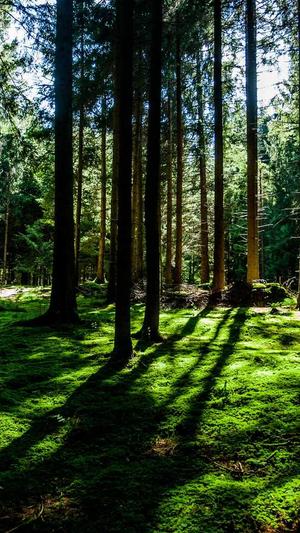 焦作网站建设截图2