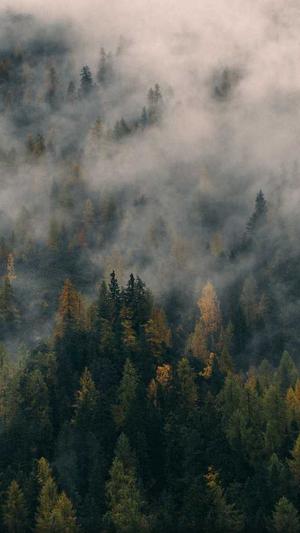 兰州快速seo工具截图4