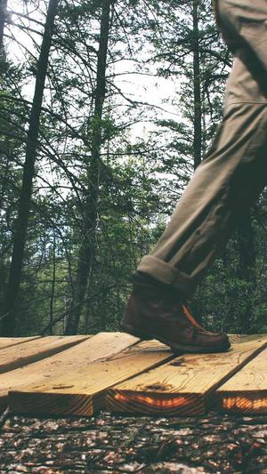 超级蜘蛛池教学截图1