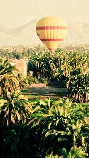 旋风蜘蛛池新闻截图1