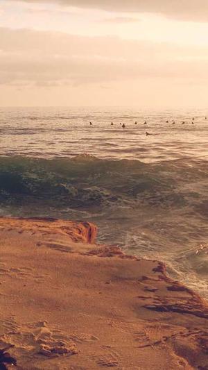 超级蜘蛛池教学截图3