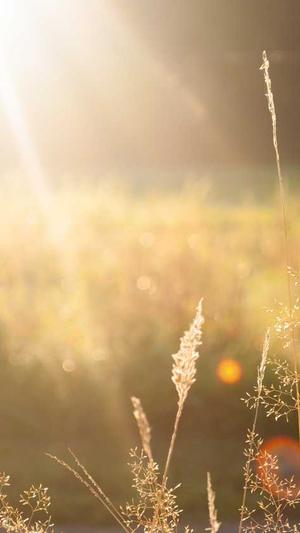 宁夏蜘蛛池租用服务截图4