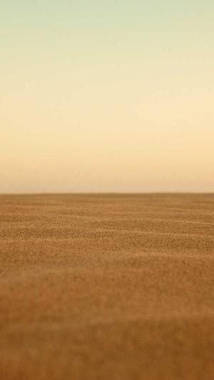 提升关键字排名seo工具截图3