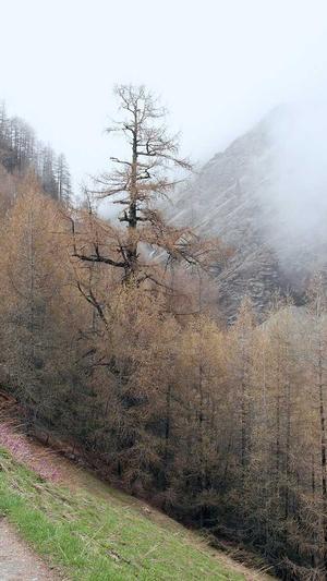 厦门建设网站公司截图1