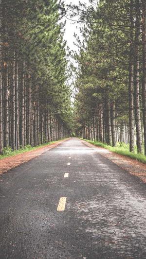 泛目录程序代做截图4