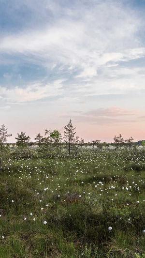 那个网站建设公司好截图4