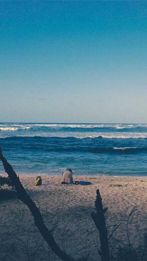 搜索留痕蜘蛛池截图1