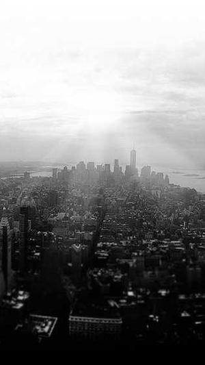 seo数据统计分析工具是截图4