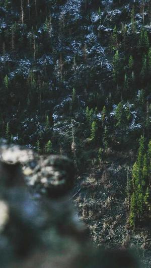 seo工具软件免费截图3