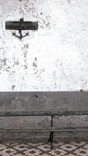 泛目录站群-生成程序截图1