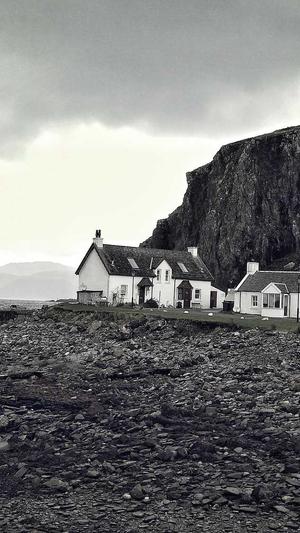 广州网站建设网站截图4