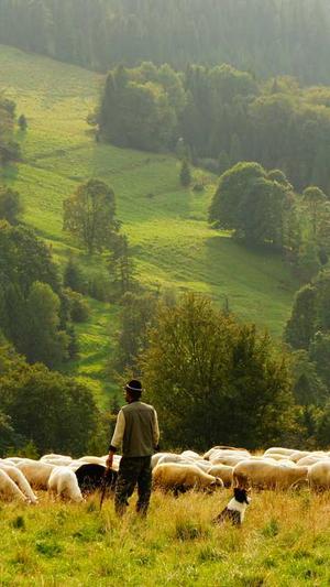 新站seo关键词排名工具截图1