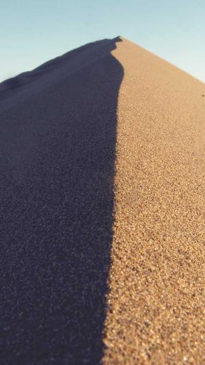 seo流程优化方法与工具截图1