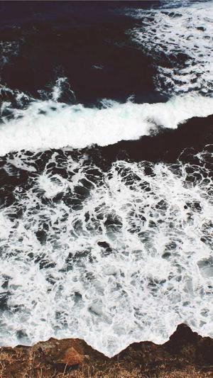 阿里蜘蛛池模板截图5