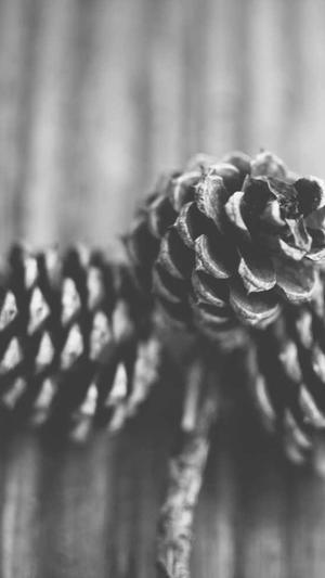 哪个网站建设公司好截图3