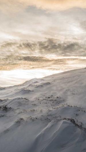 seo常用工具有哪些截图3