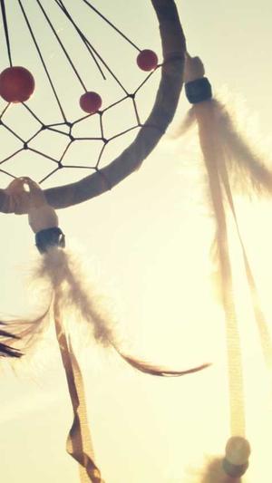 个人网站建设网站截图1