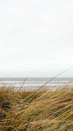 外贸seo工具截图1