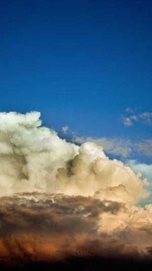 苏州seo工具截图1