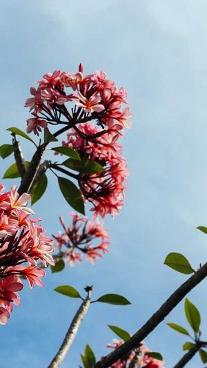 南京seo优化工具截图1