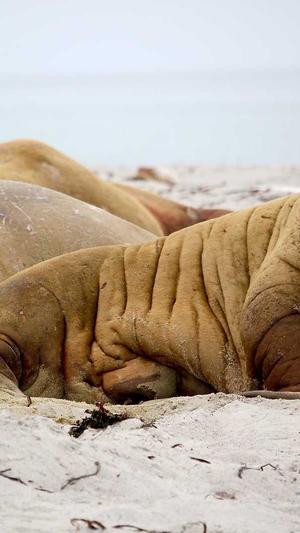 泛目录需不需要好站截图4