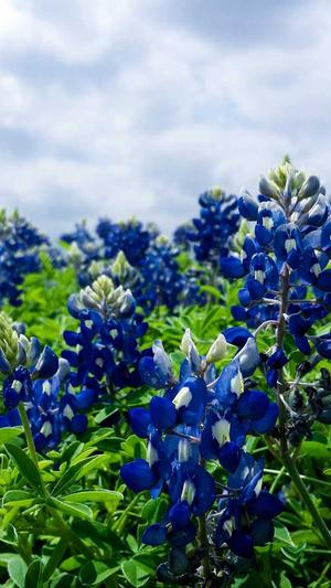 网站seo排名优化截图3