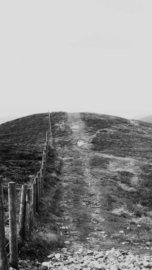 站长seo优化工具截图1