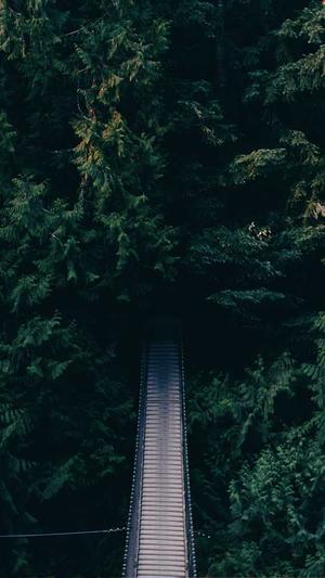 .net网站建设截图2