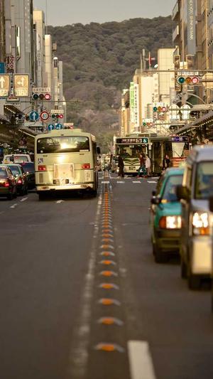 网站seo工具截图2