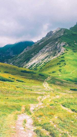 开封网站建设截图2