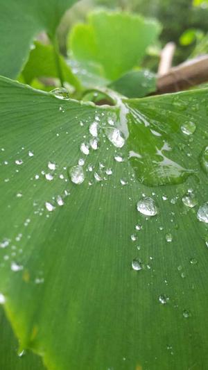 seo流程优化方法与工具截图3