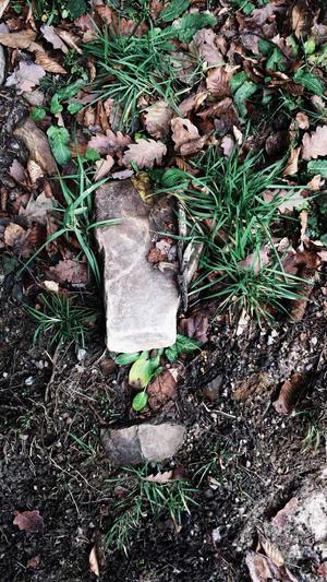 小旋风泛目录截图3