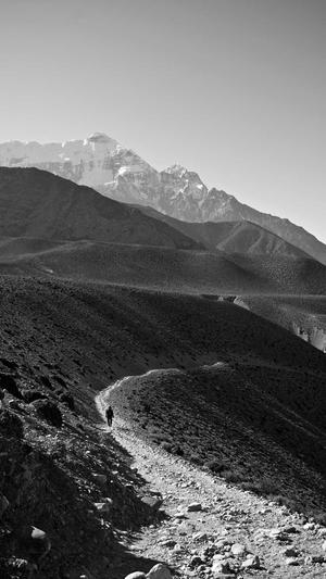 seo标题优化工具截图1