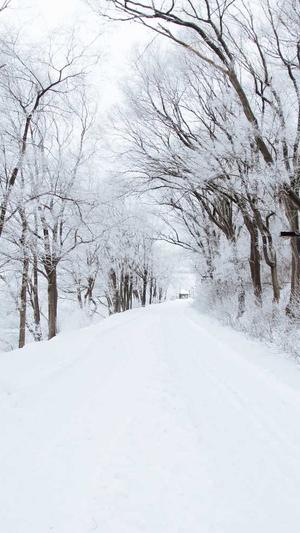搭建蜘蛛池做seo 外推截图5