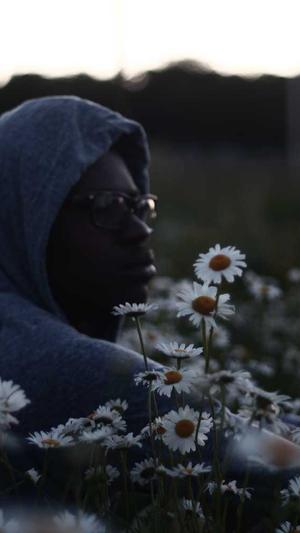 优化seo工具截图3