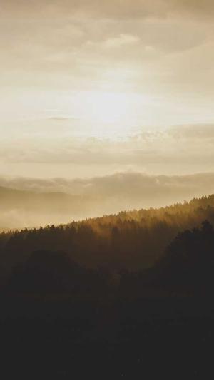 怎么实现泛目录截图3