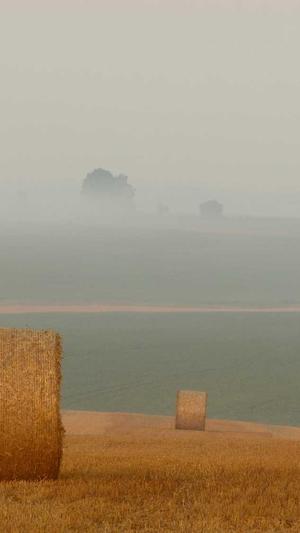 蜘蛛池软件代运营截图1