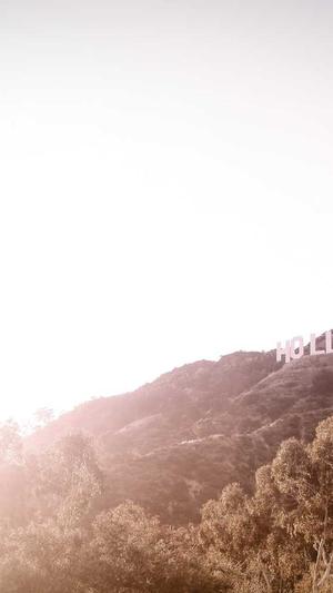 seo快排工具截图2