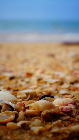 龙华网站建设截图4