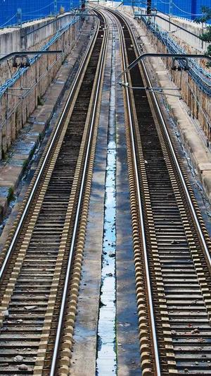 旺道seo工具截图4