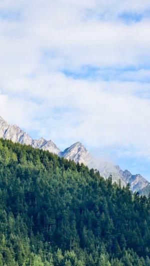 蜘蛛池代码全志zjkwlgs截图1