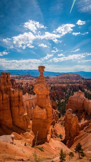 天道蜘蛛池4.2源码截图2