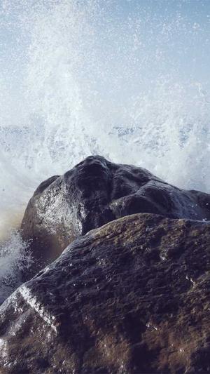 泛目录站群源码蜘蛛池截图4