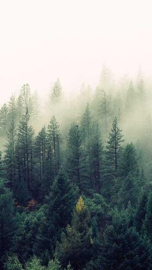 泛目录程序官网截图1