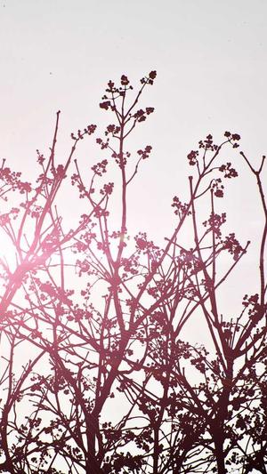 百度seo关键词工具截图3