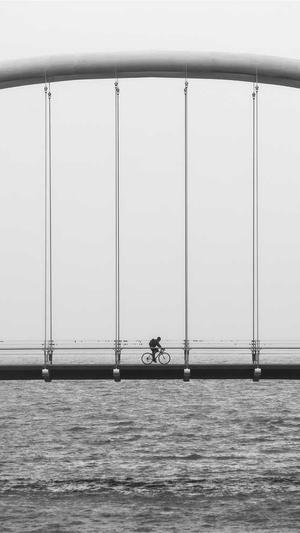 seo排名点击器截图4