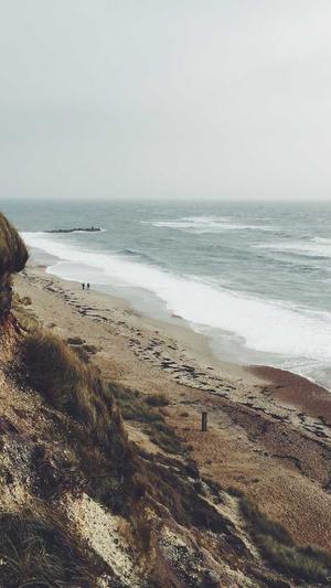 seo快排工具截图4